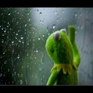 Meet your Posher, Samuel